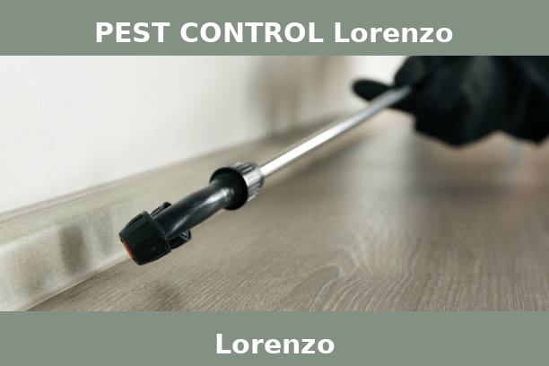 PEST CONTROL Lorenzo